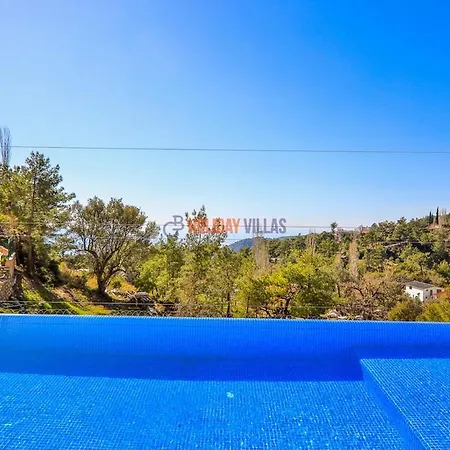Palmiye * Kalkan