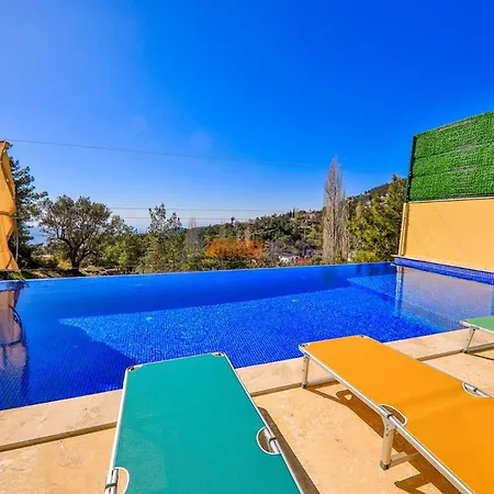 Villa Palmiye